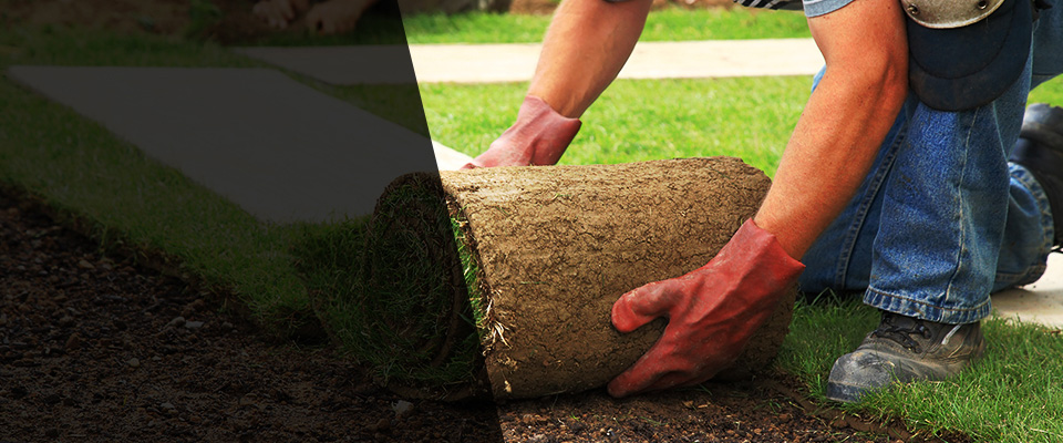 Bishop Landscapers